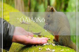 沧县沧县的要账公司在催收过程中的策略和技巧有哪些？