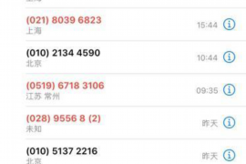 沧县为什么选择专业追讨公司来处理您的债务纠纷？